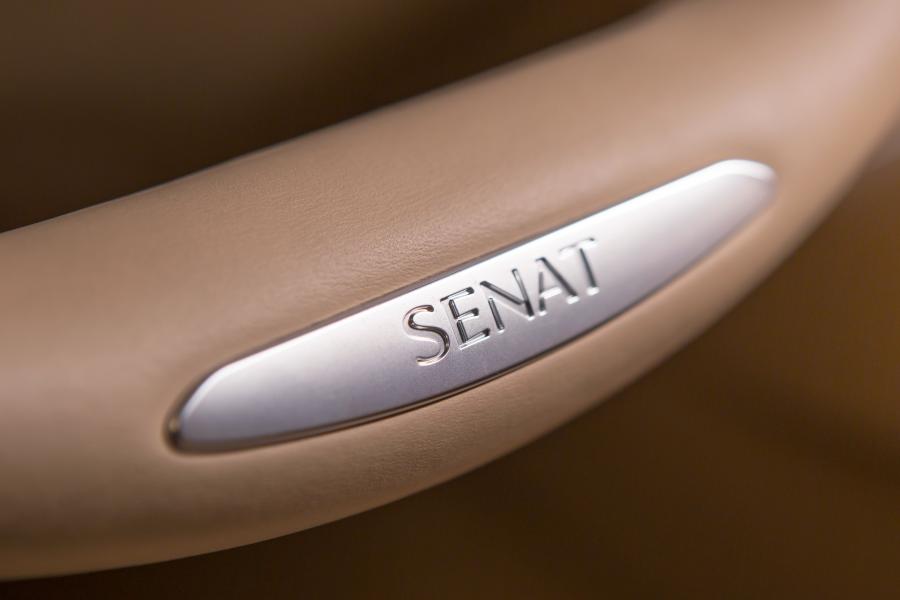 Детали интерьера Aurus Senat S600 (412300) 2018 года  (фото 35 из 40)